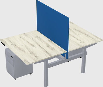 Shared electric desk