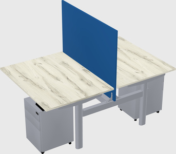 Shared electric desk