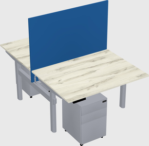 Shared electric desk