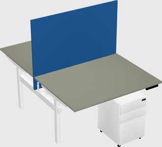 Shared electric desk