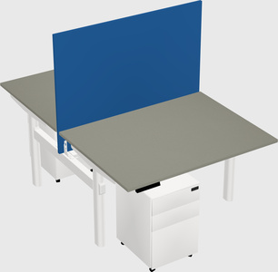 Shared electric desk