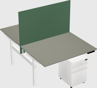 Shared electric desk