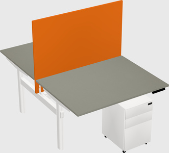 Shared electric desk