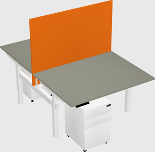 Shared electric desk