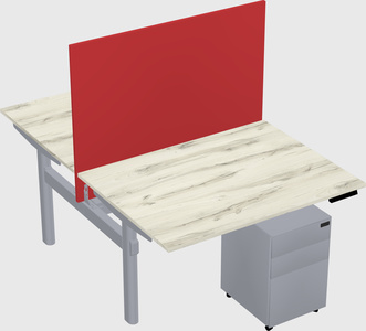 Shared electric desk