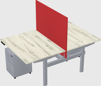 Shared electric desk