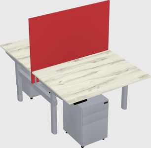 Shared electric desk