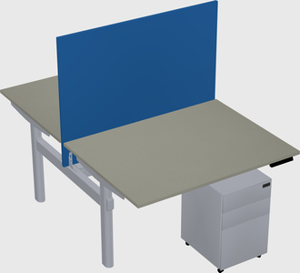 Shared electric desk