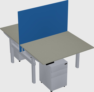 Shared electric desk