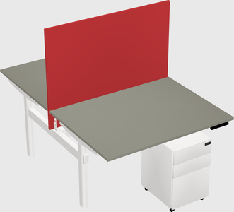 Shared electric desk