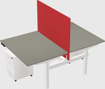 Shared electric desk