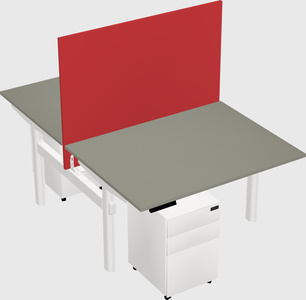Shared electric desk