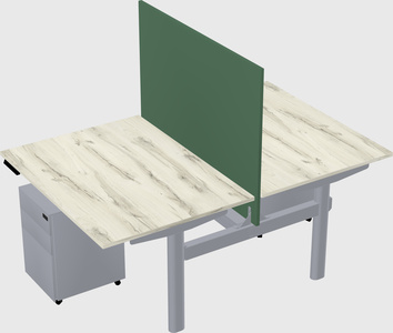 Shared electric desk