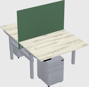 Shared electric desk