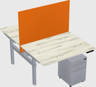 Shared electric desk