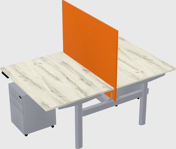 Shared electric desk