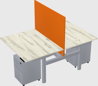Shared electric desk