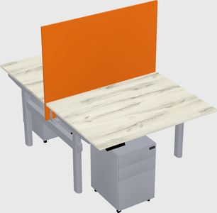 Shared electric desk