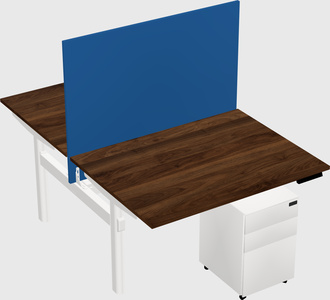 Shared electric desk
