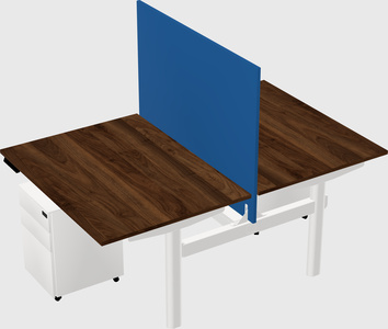 Shared electric desk