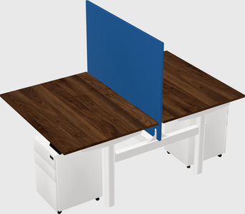 Shared electric desk