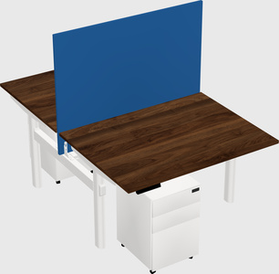 Shared electric desk