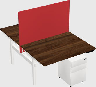 Shared electric desk