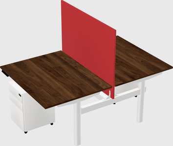 Shared electric desk