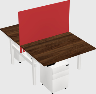 Shared electric desk