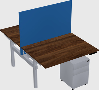 Shared electric desk