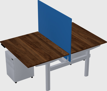 Shared electric desk