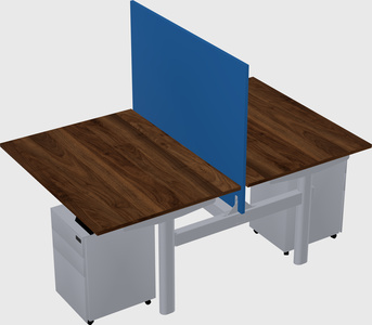 Shared electric desk