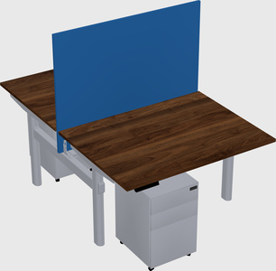 Shared electric desk