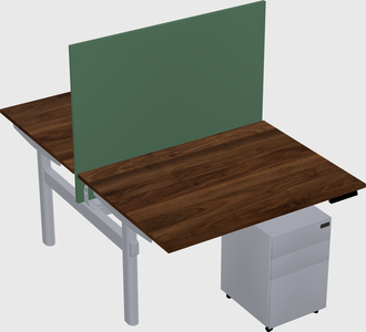 Shared electric desk