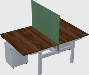 Shared electric desk