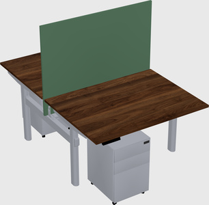 Shared electric desk