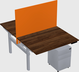 Shared electric desk