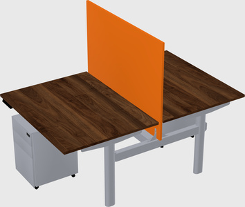 Shared electric desk