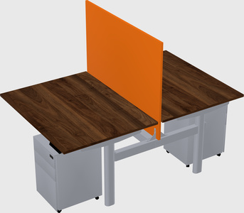 Shared electric desk