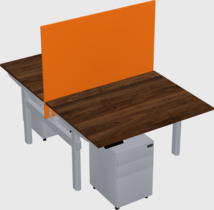 Shared electric desk