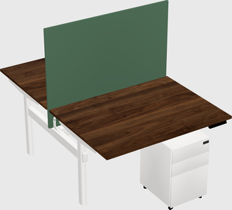 Shared electric desk