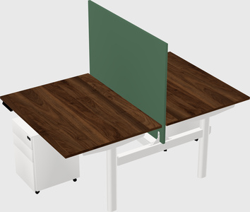Shared electric desk