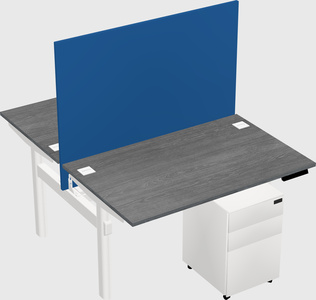 Shared electric desk