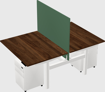 Shared electric desk