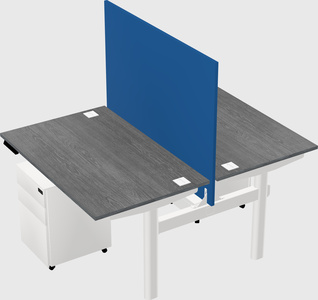 Shared electric desk