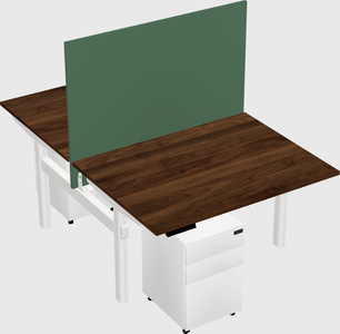 Shared electric desk