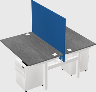 Shared electric desk