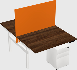 Shared electric desk