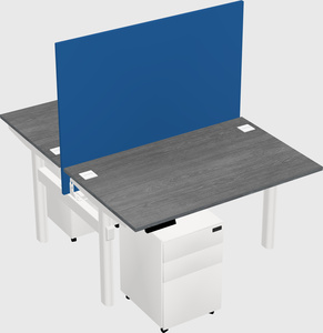 Shared electric desk