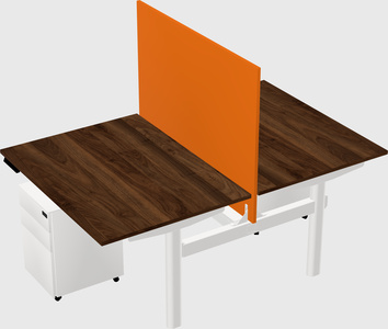 Shared electric desk